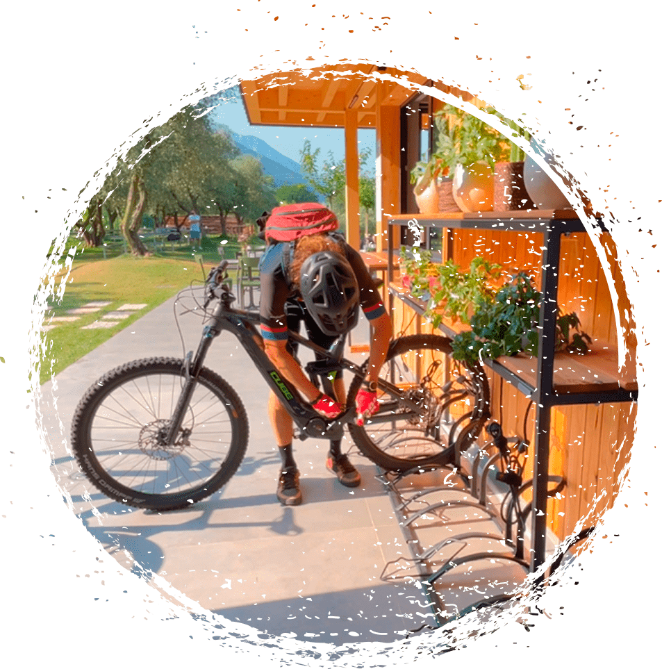 Bike Farm Linfano Bici Grill ad Arco